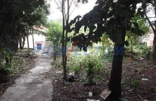terreno - Vila Industrial - Campinas - Foto 2
