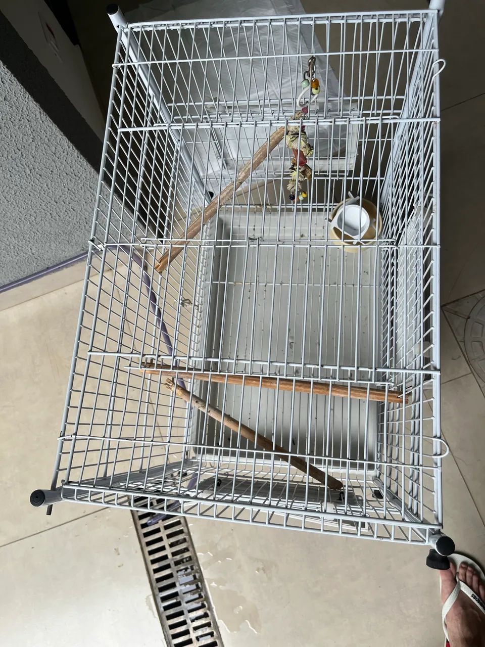 Gaiola (Calopsita, periquito, canário, papagaio)  - Foto 3