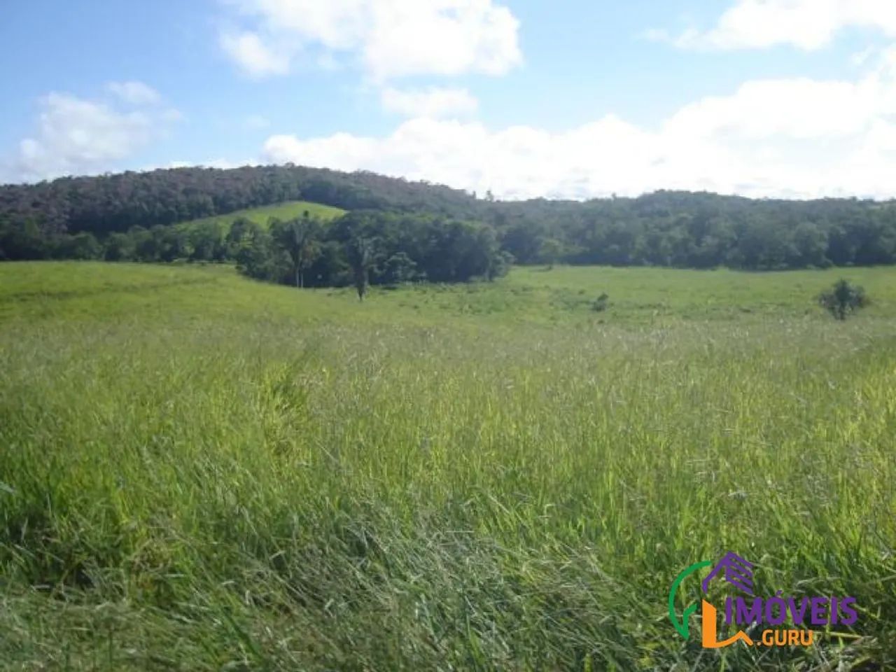 AREA - PARQUE SANTA ROSA - SP - Foto 4