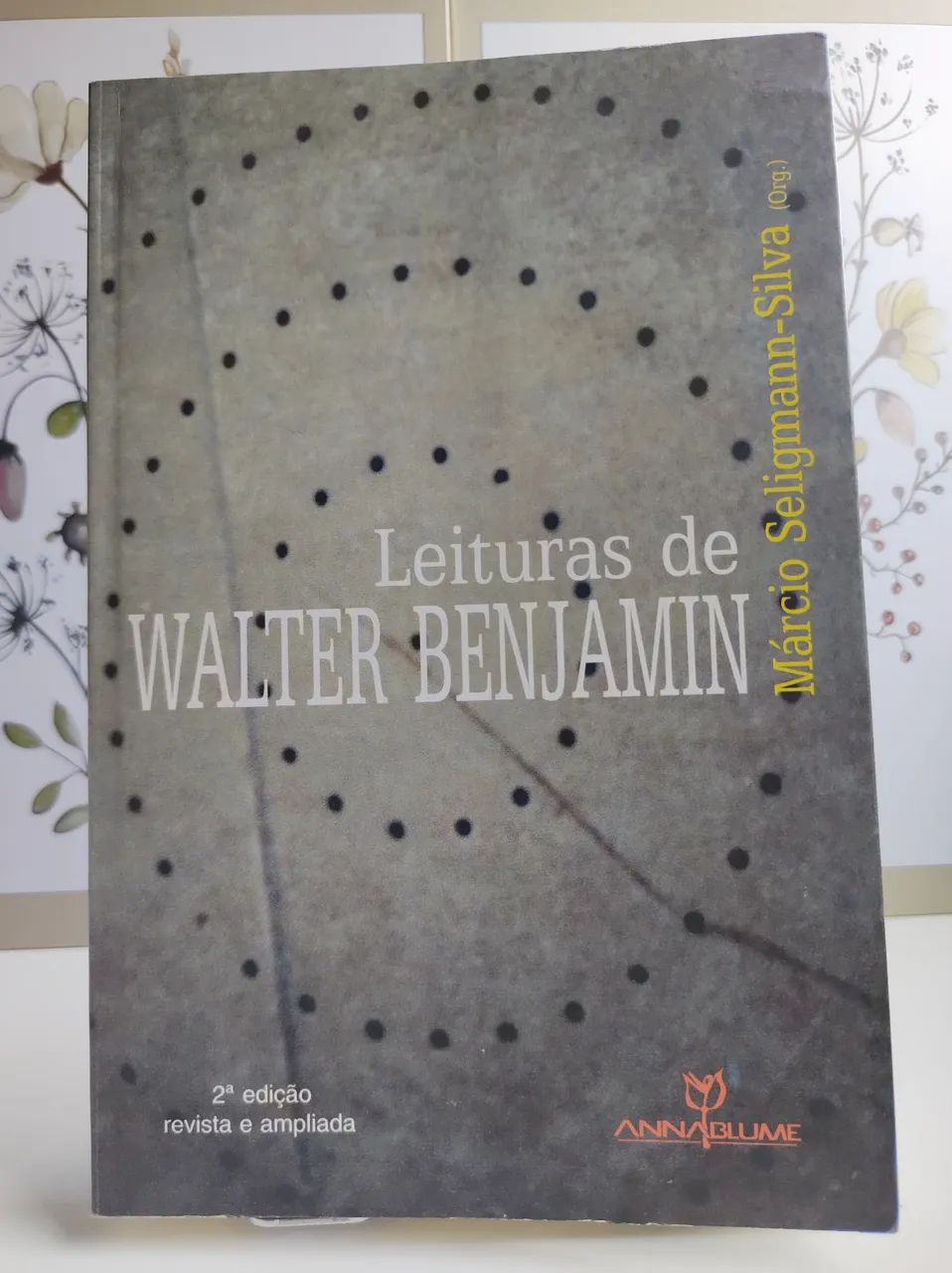 Leituras de Walter Benjamin - 2a edição