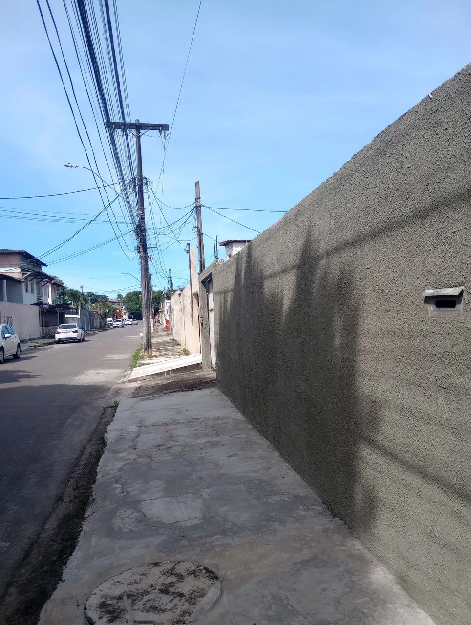 Foto - Salvador - Jardim das Margaridas