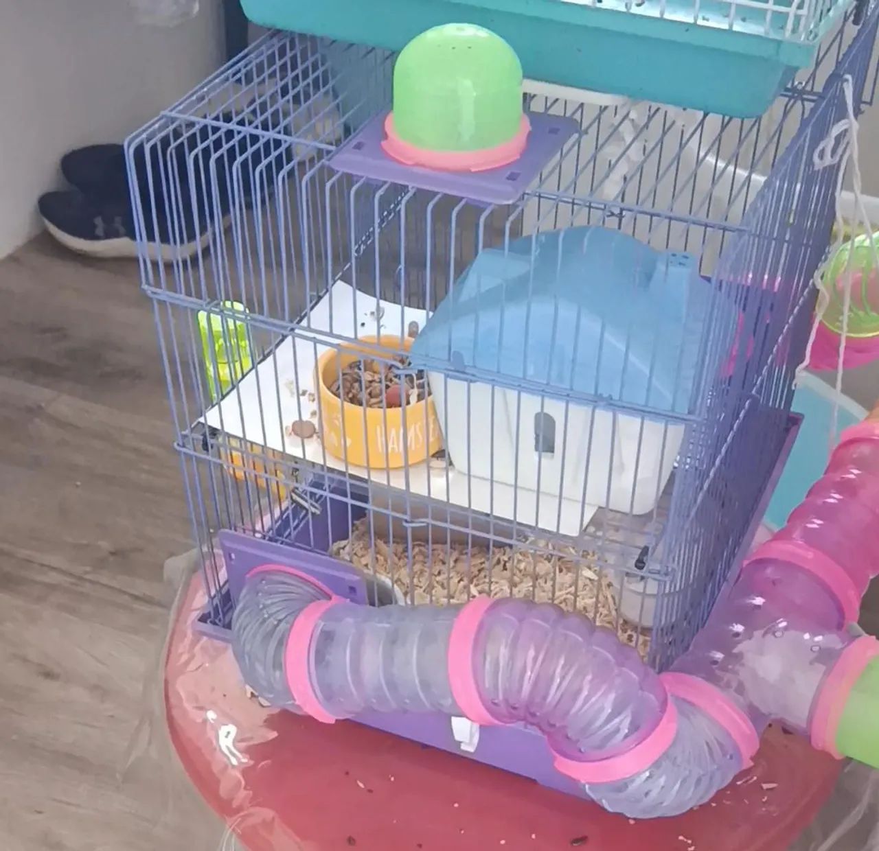 Gaiola Hamster  - Foto 3