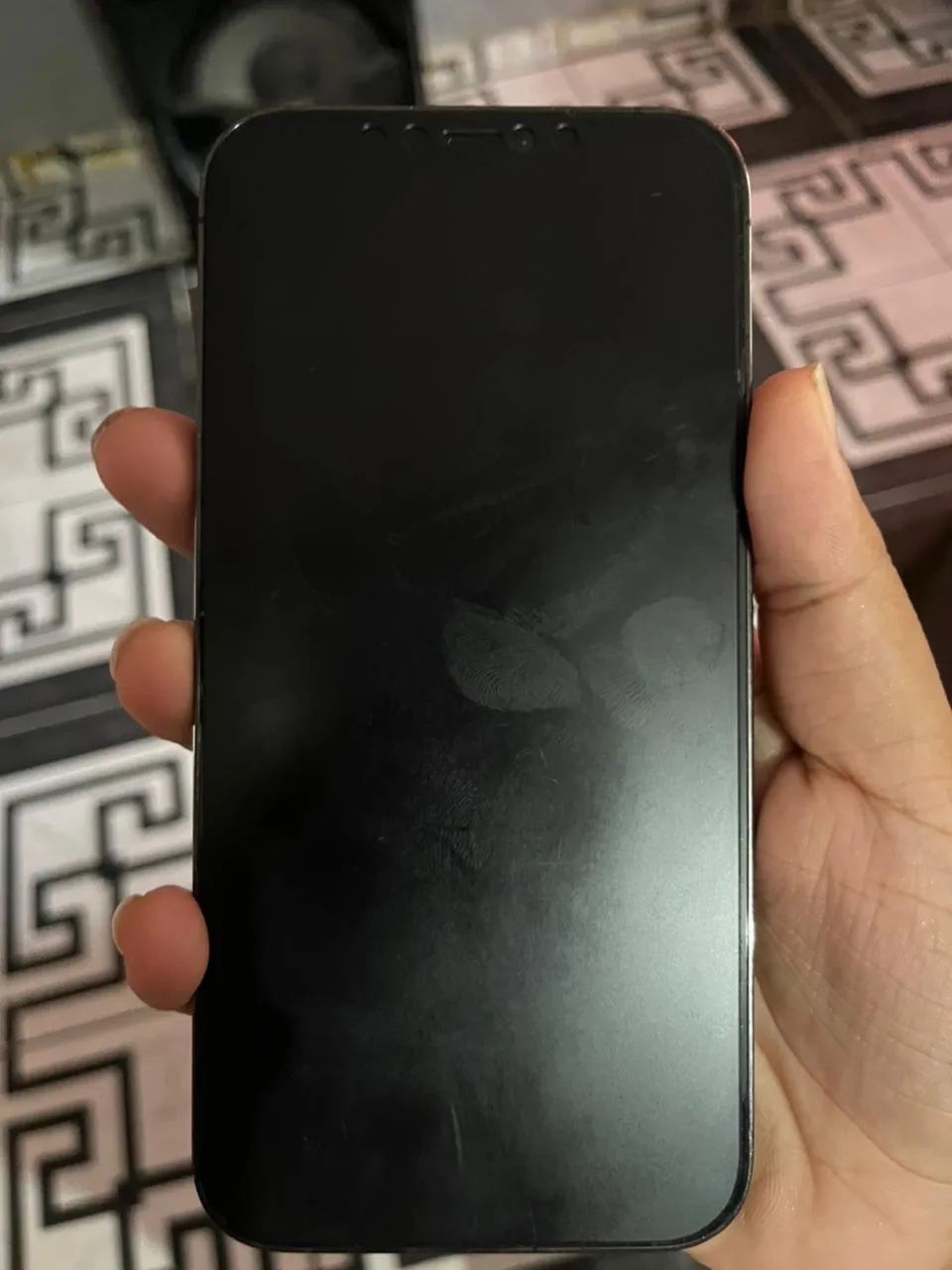 iPhone 12 Pro Max 