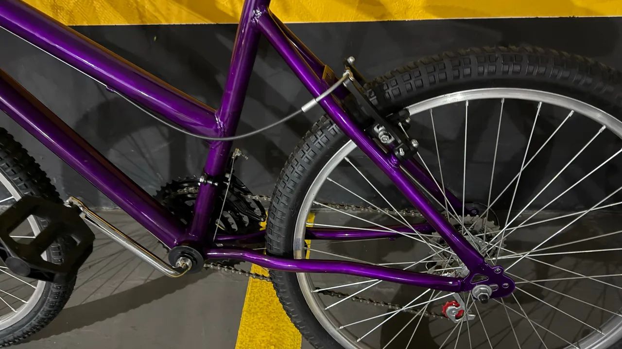 Bicicleta aro 24