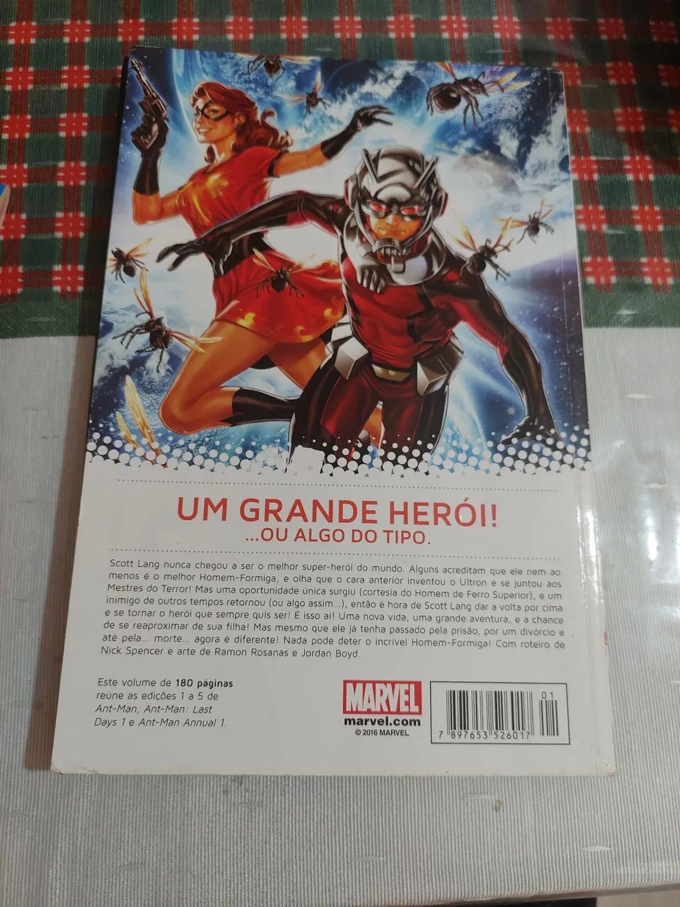 Homem Formiga - Foto 2