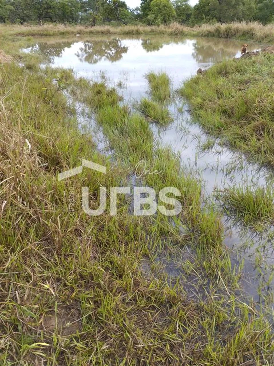 0 - Fazenda 4 quartos, sendo 2 suítes - Foto 3