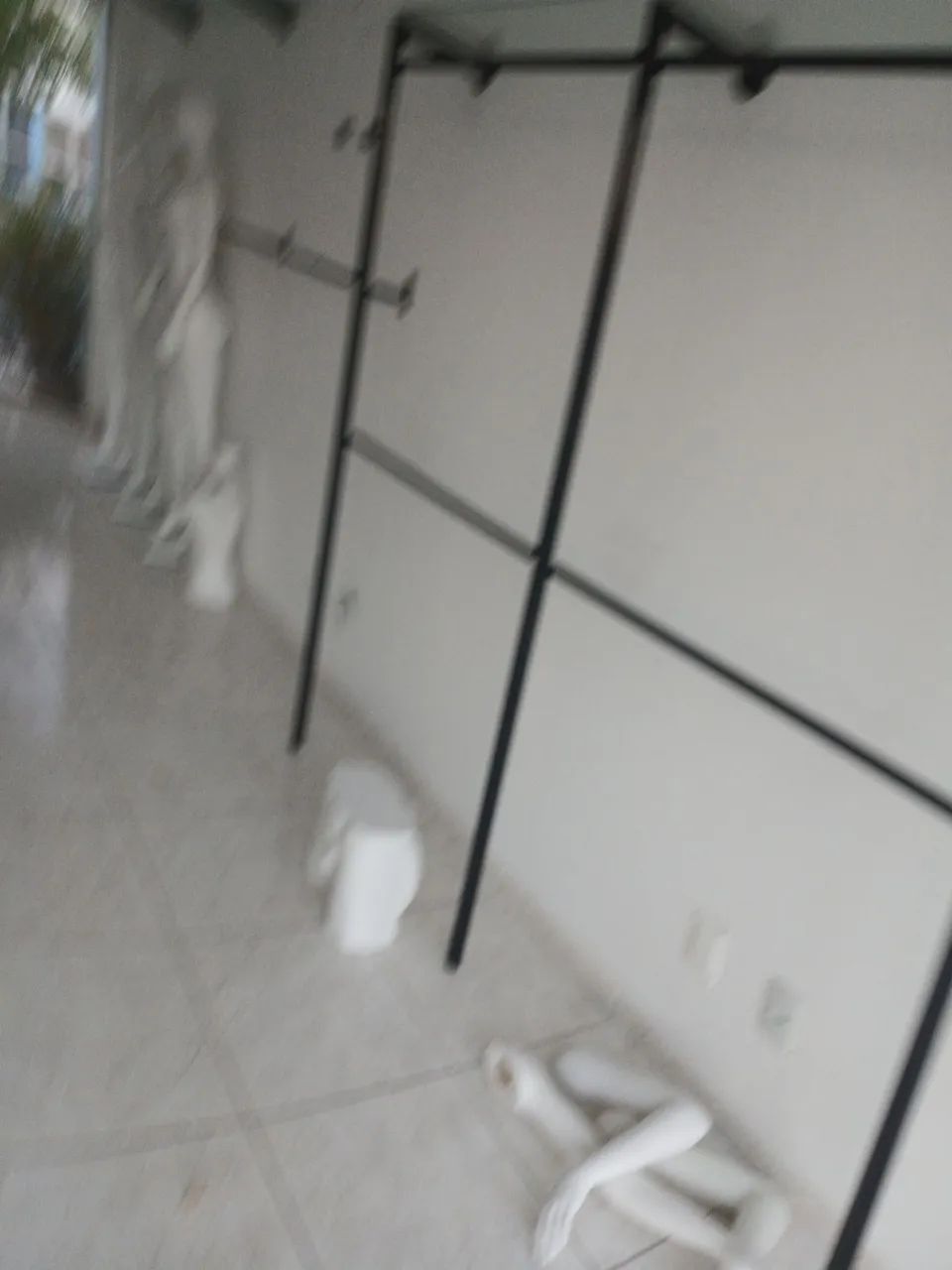 Arara  - Foto 3