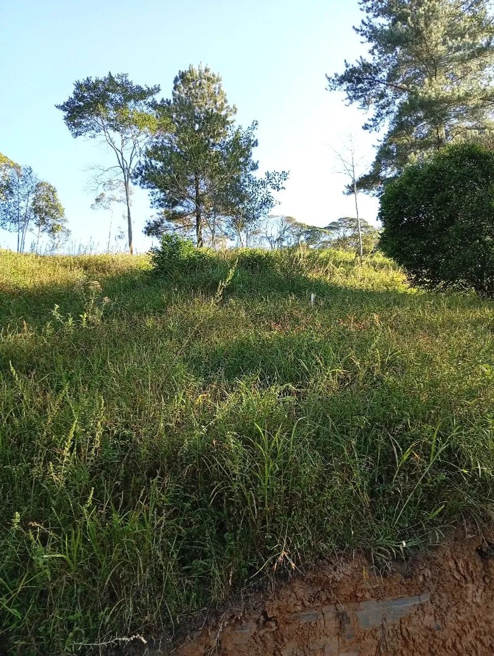 Terreno rural