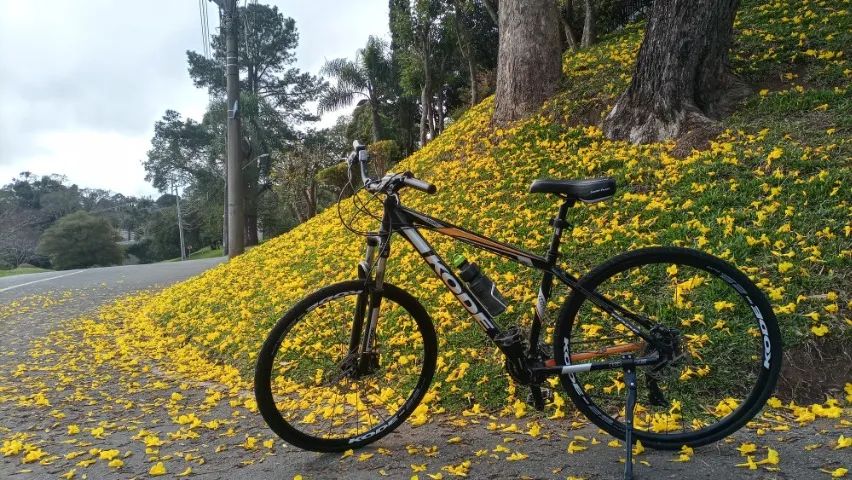 Bicicleta Kode 29
