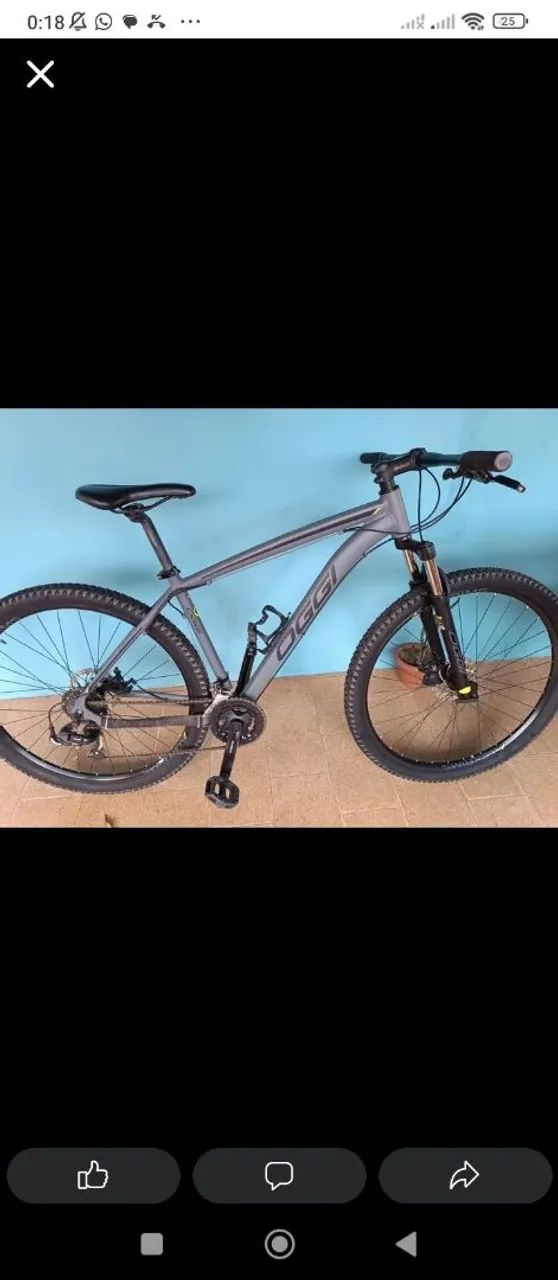 Bicicleta Oggi