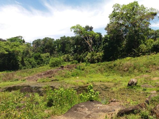 Fazenda no Jardim Grapiúna - Foto 7