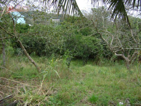 Terreno Residencial à venda, Protásio Alves, Porto Alegre - TE0126. - Foto 4