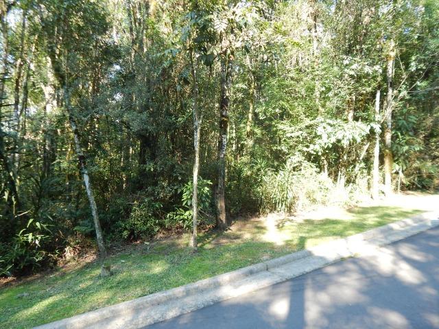 Terreno - Foto 2
