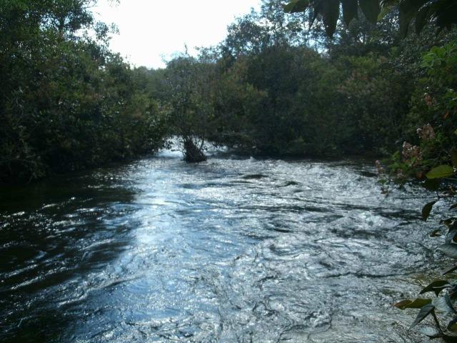 Linda Fazenda em Mato Grosso - em Conquista D´oeste - MT - Foto 17