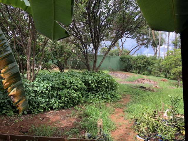 Excelente lote comercial 400 m rua 8 Vicente Pires - Foto 5