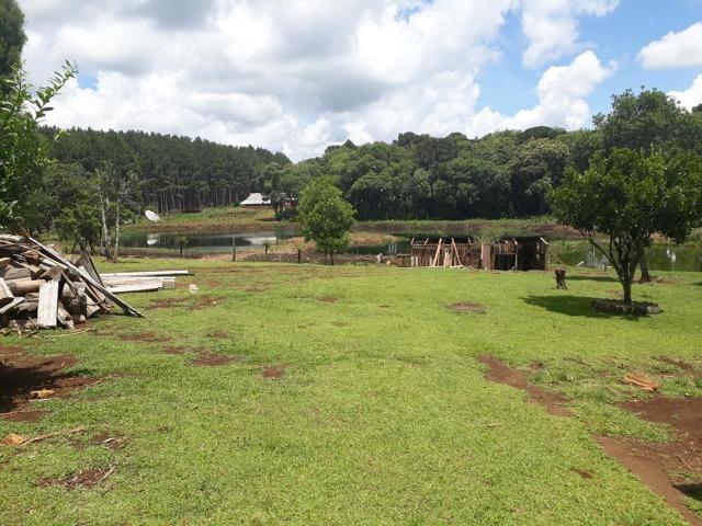 Linda Chácara 24.200 m2 ( 1 Alqueire) com 2 Casas - Palmas PR - Foto 16