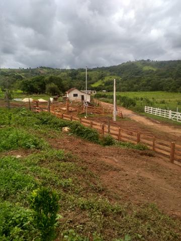 Fazendinha com 38 mil metros quadrados casinha antiga reformada