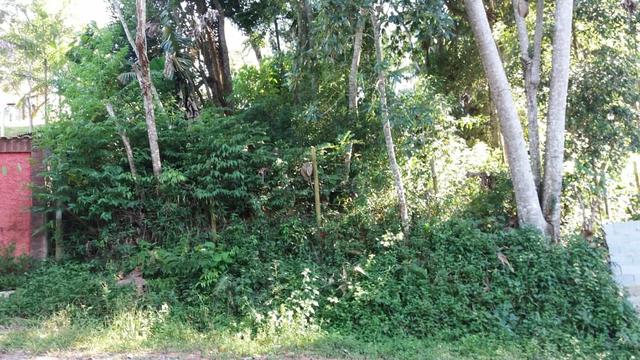 Terreno 1600M - Embu Guaçu - Foto 5
