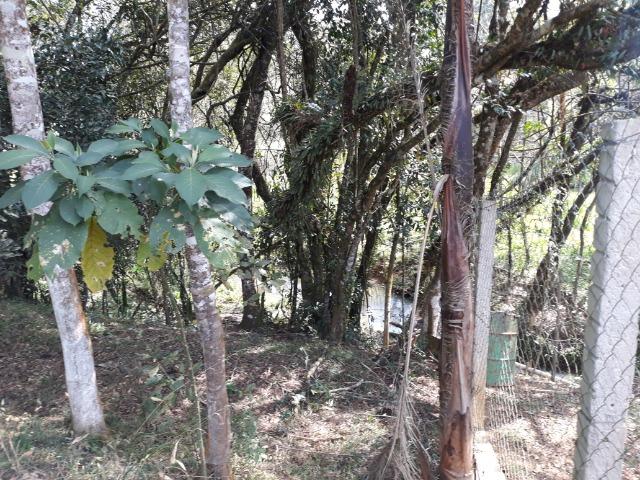 Chácara em Contenda - Urbana - Foto 3