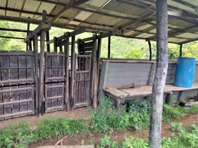 Fazenda próximo a BR 070 a 100km de Várzea Grande - Foto 8
