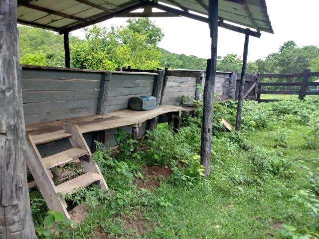 Fazenda próximo a BR 070 a 100km de Várzea Grande - Foto 10