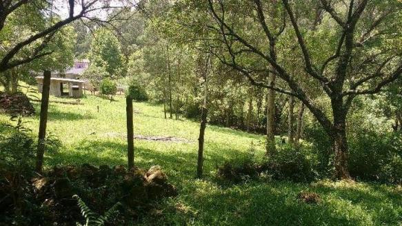Sítio com 2 dormitórios à venda, 200000 m² por r$ 350.000,00 - santa terezinha - canela/rs - Foto 16