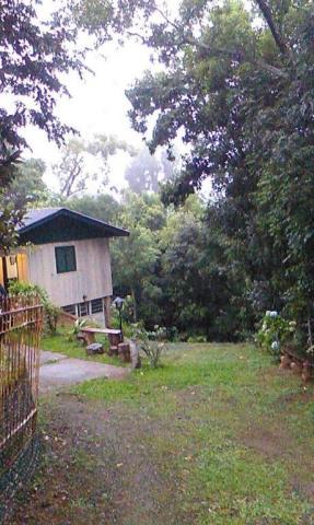 Sítio com 2 dormitórios à venda, 200000 m² por r$ 350.000,00 - santa terezinha - canela/rs - Foto 15
