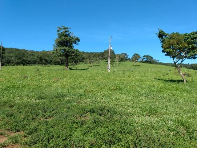 Fazenda no município de Bonfinópolis 24 alqueires - Foto 4