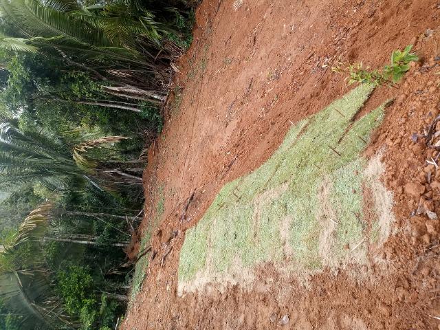 Chácara em peixe verde - Foto 14
