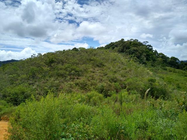 Sítio são Pau amarelo 5 Alqueires - Foto 10