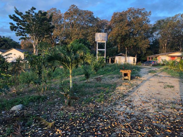 Fazenda produtora de Cacau em Linhares 70mil - Foto 6