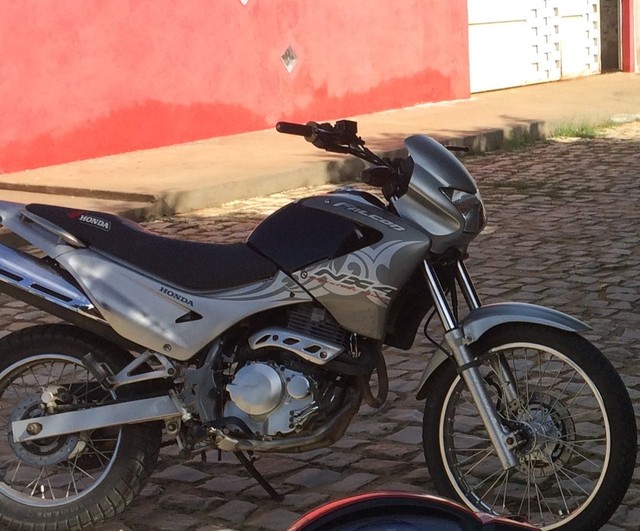 falcon cinza