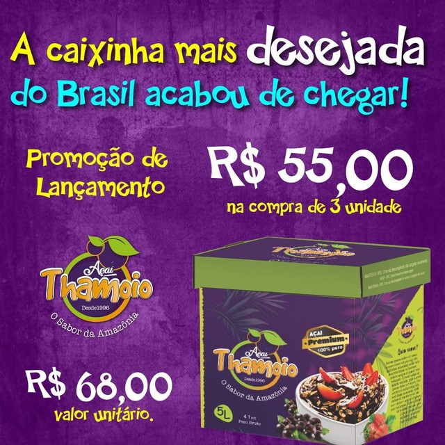 AÇAÍ PREMIUM ARTESANAL 