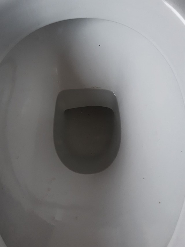 Vaso acoplado celite série luxo semi novo - Foto 3