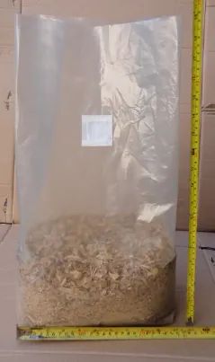 sacos plastico cultivo cogumelos