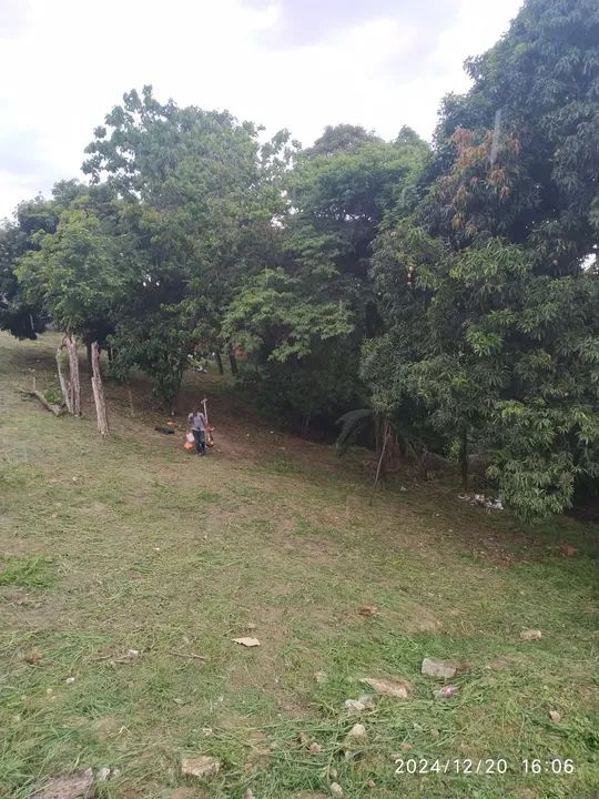Roçagem limpeza de terrenos  - Foto 2