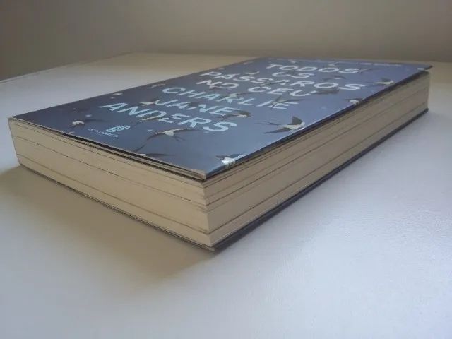 Todos os Pássaros no Céu - Foto 2