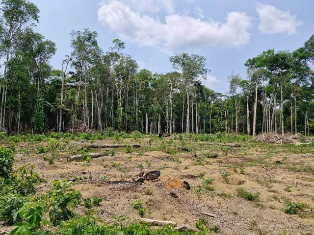 VENDO OU TROCO SÍTIO PERTO DE ITACOATIARA 130 TROCA ou VENDA - Foto 14