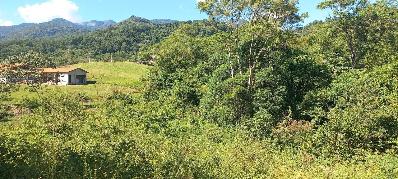 Lote 12x125 ....Pedro de Toledo SP