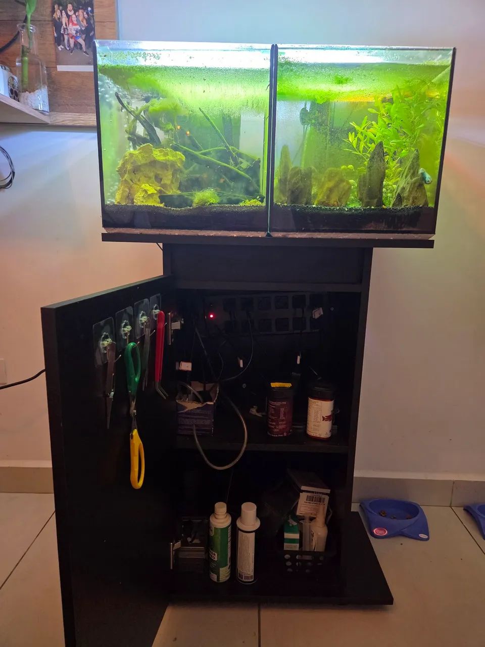 Aquários 30x30  Conjunto Completo com Móvel e Filtros - Foto 2