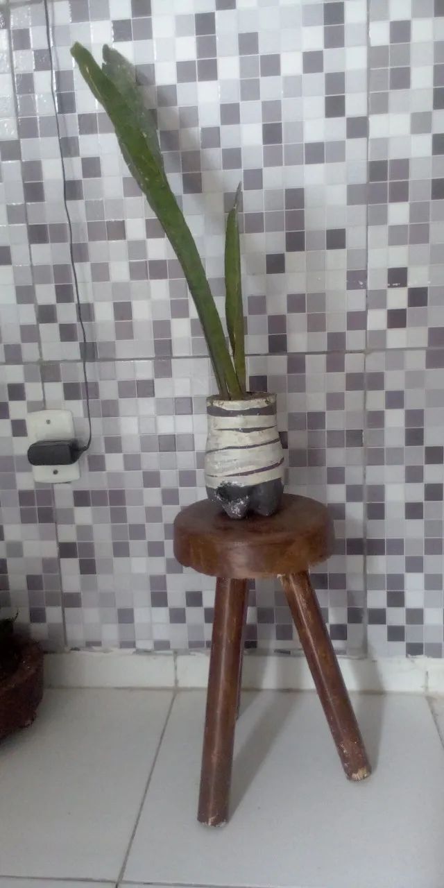 Planta Espada de São Jorge ( Faço entrega) - Foto 5