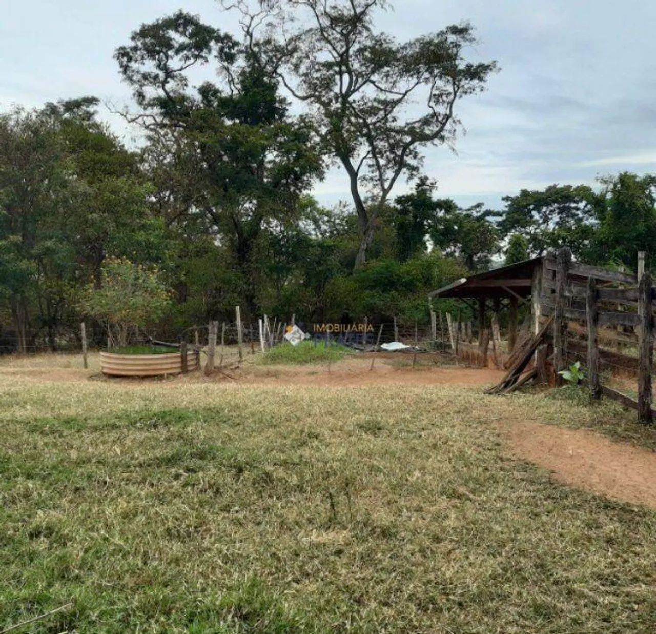 Sítio à venda - Macaubal/SP - Foto 4