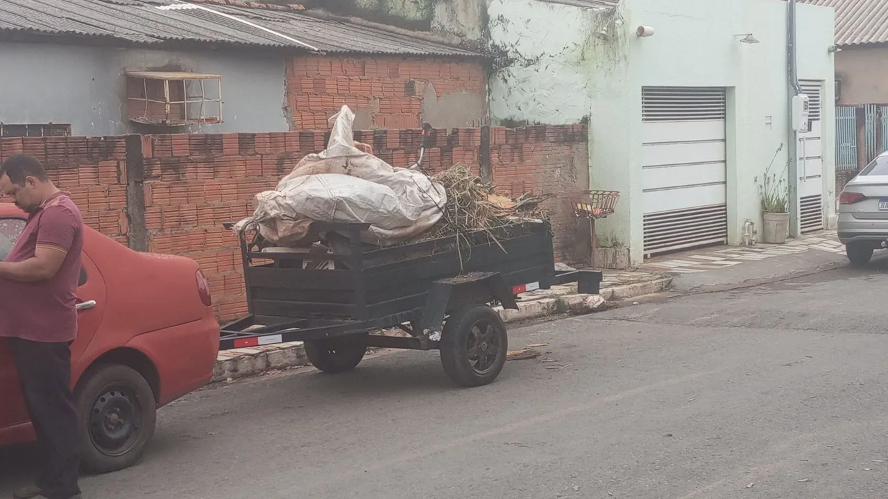 Limpeza de quintal