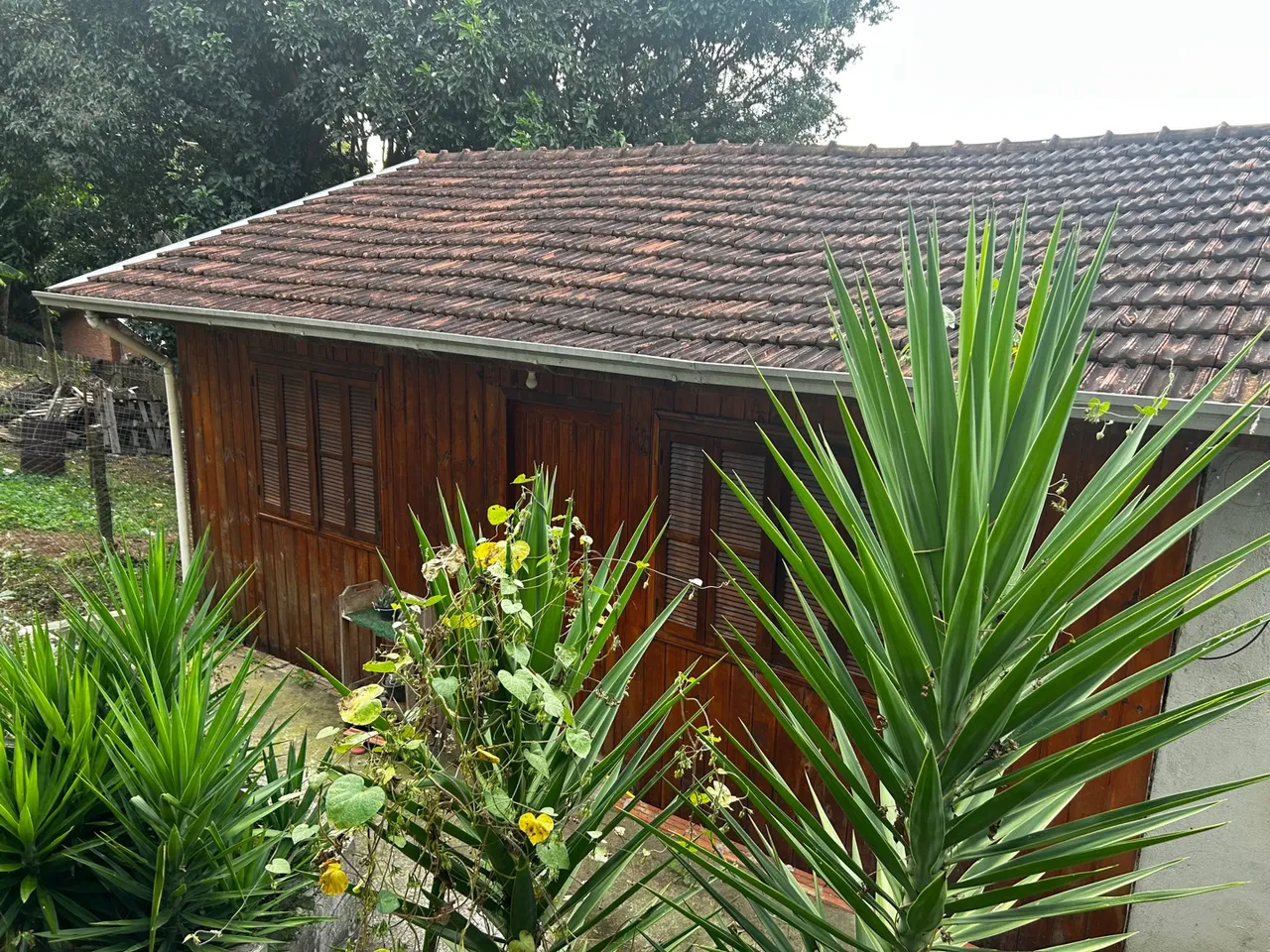 Casa