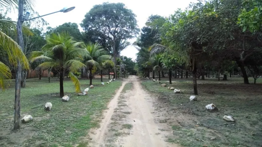 Vendo Sítio 09hectares localizado na BR Timon - Caxias