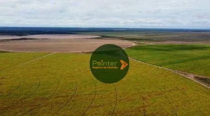 Fazenda à venda, por R$ 1.700.000.000 - Zona Rural - Cocos/BA