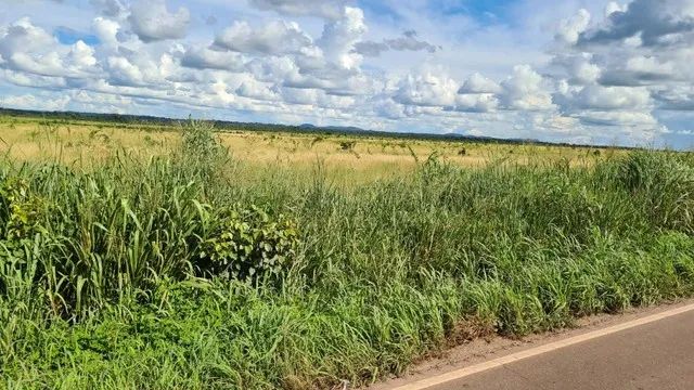 *Mega fazenda a 341 Alqueires a 55 km de Araguaína 35  milhões - Foto 4