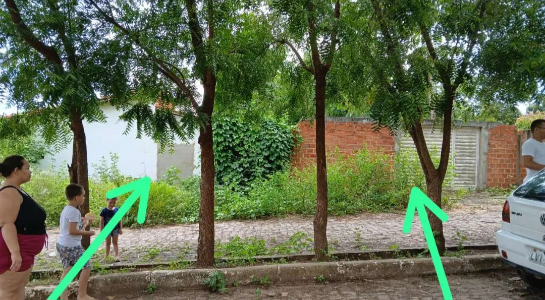 Vendo esses 2 terreno