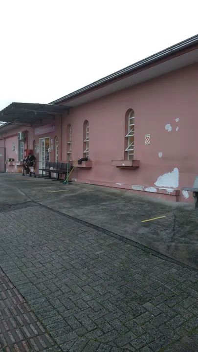 Pintor profissional  - Foto 4