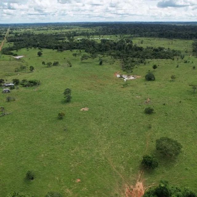 Fazenda Plácido de Castro - Foto 2